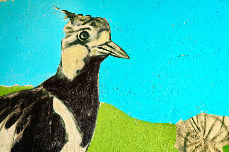 Graffiti-Art in viaduct/tunneltje onder de A12_20